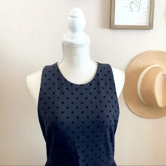 J.Crew Sleeveless Velvet Polka Dot Dress - Picture 4 of 11